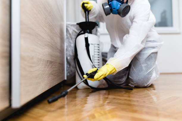 Best Best Pest Control Companies  in Noble, OK