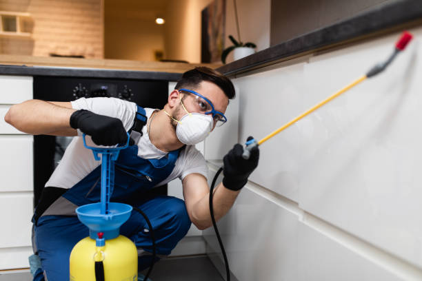 Best Flea Control Services  in Noble, OK