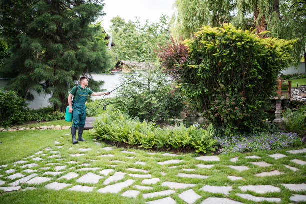 Best Pest Prevention Services  in Noble, OK