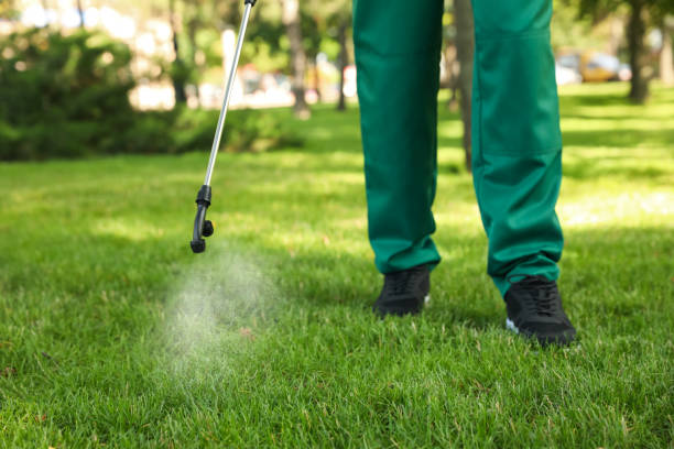 Best Emergency Pest Control  in Noble, OK