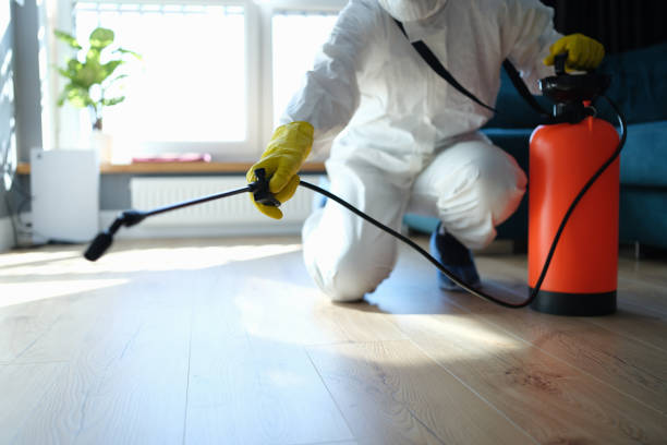 Wasp Removal Services in Noble, OK