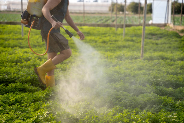 Best Pest Removal Services  in Noble, OK