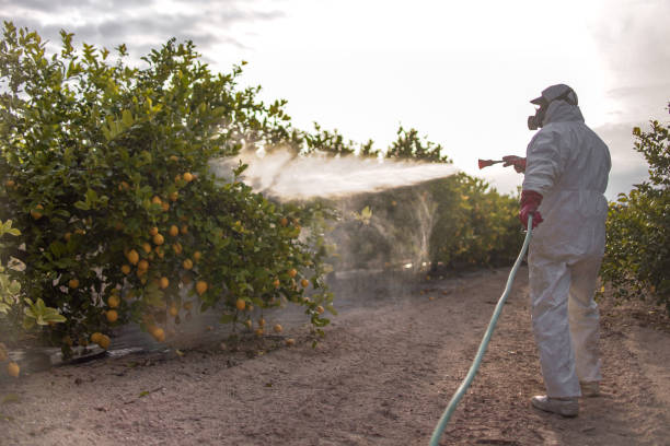 Best Pest Inspection Near Me  in Noble, OK