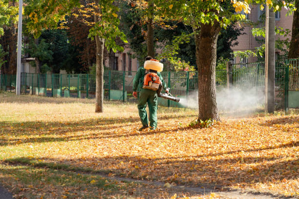 Best Bed Bug Extermination  in Noble, OK